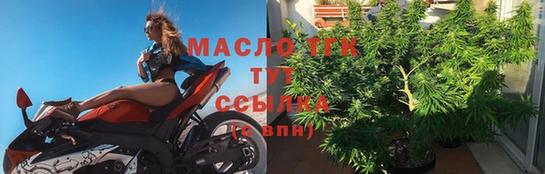 гидра Бородино