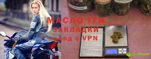 гидра Бородино
