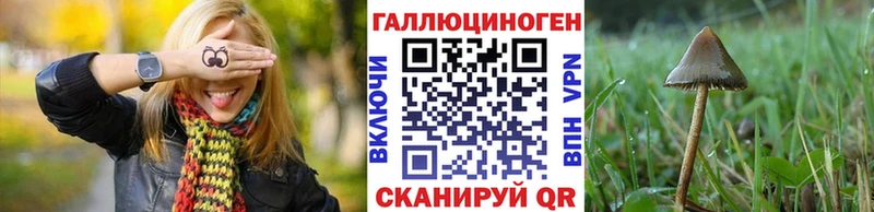 Галлюциногенные грибы Psilocybine cubensis  Купить закладки  Алагир 